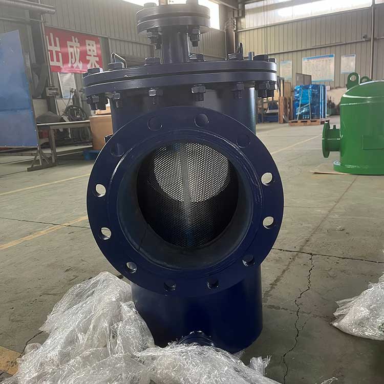 籃式過濾器HY-CLS-250-1